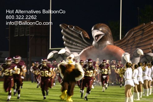 Los Fresnos TX Falcons Football Entry with Mascot and Team